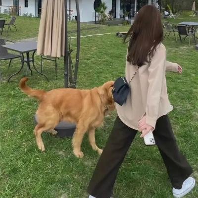 卡通明星大乱斗第一季